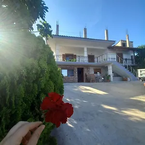  Casa vacanze Pasha